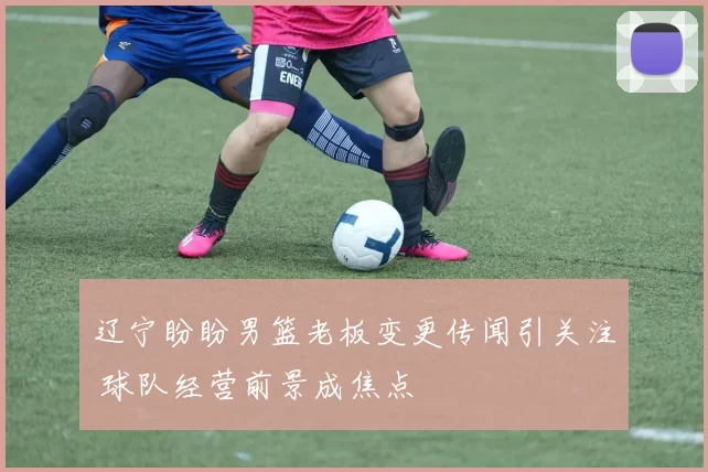 辽宁盼盼男篮老板变更传闻引关注 球队经营前景成焦点