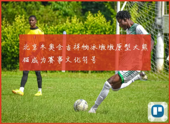 北京冬奥会吉祥物冰墩墩原型大熊猫成为赛事文化符号