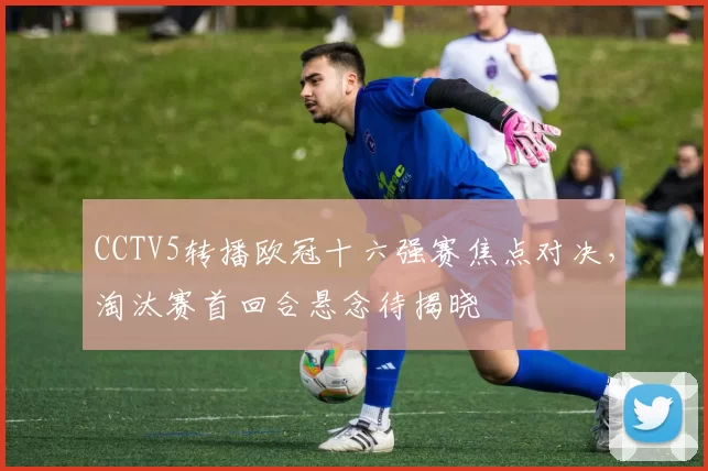 CCTV5转播欧冠十六强赛焦点对决，淘汰赛首回合悬念待揭晓