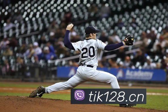 App Interface Preview