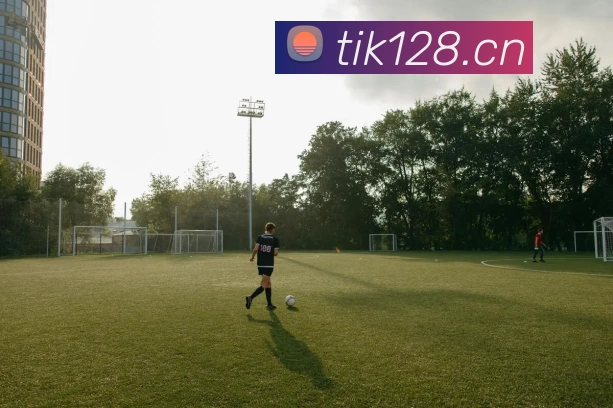 九游·官方版web站入口 - jiuyou j9(中国)APP 封面图